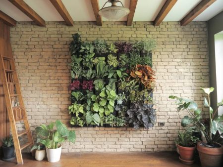 Installer un mur végétal intérieur : conseils et étapes essentielles